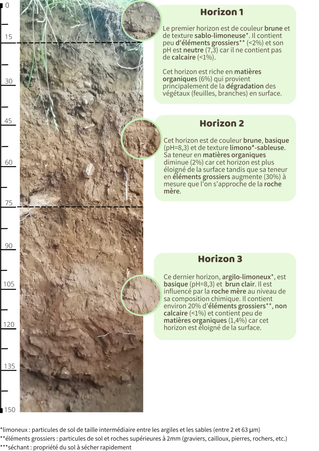 Ludres : Mare pédagogique - TrameBioSol