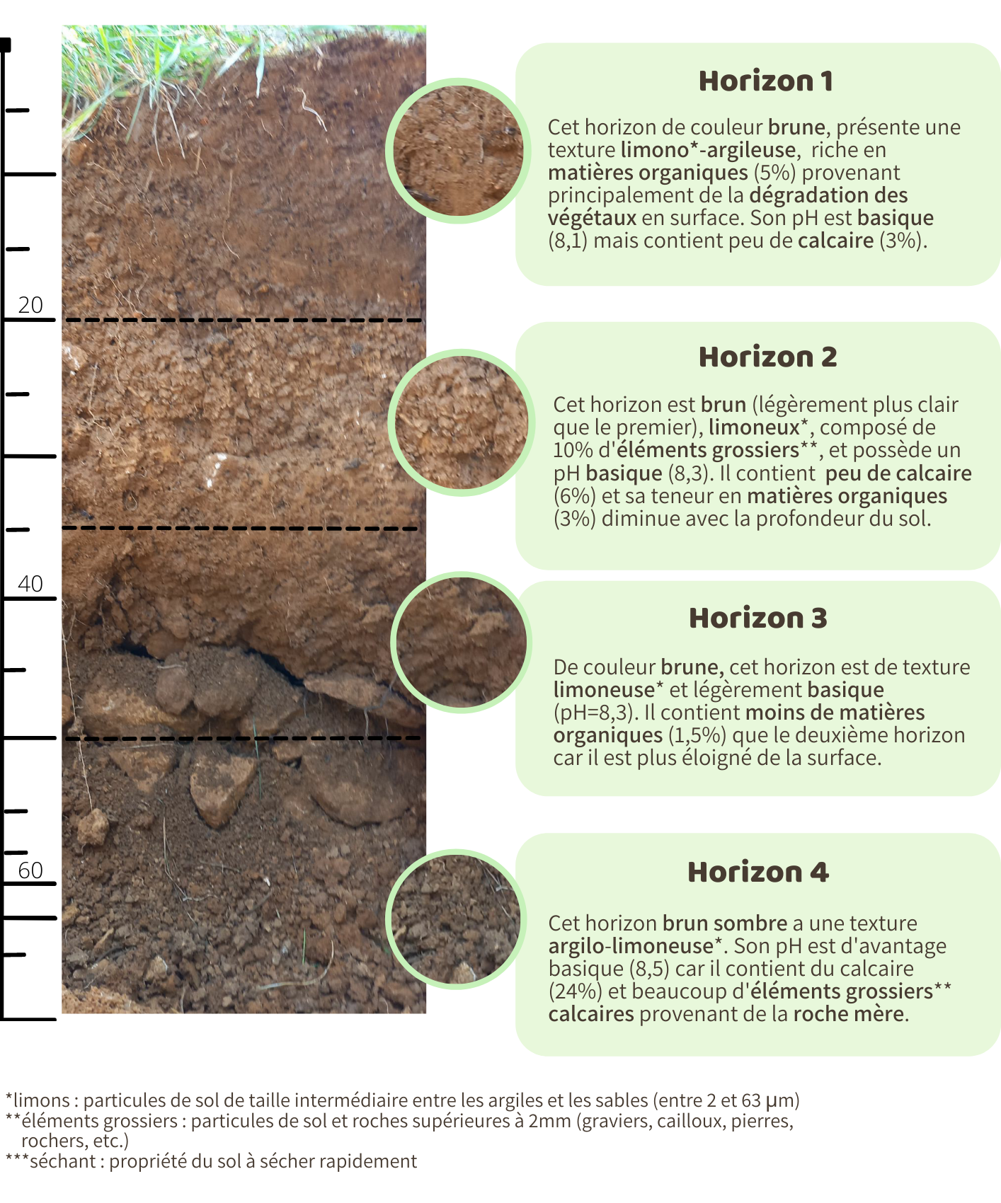 Ludres : Jardin pédagogique - TrameBioSol